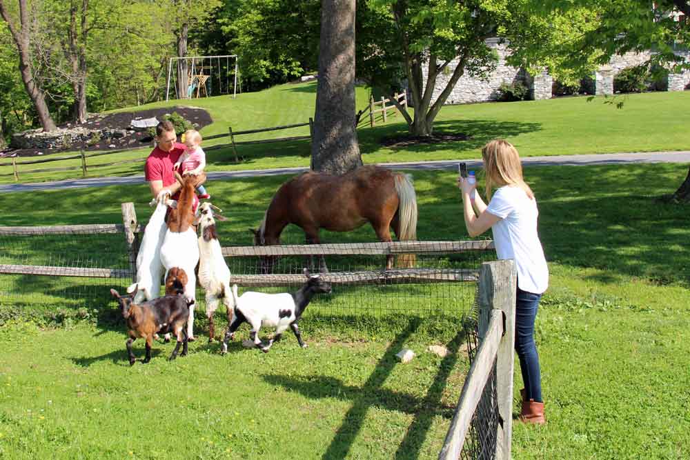 Lancaster PA farm bed and breakfast