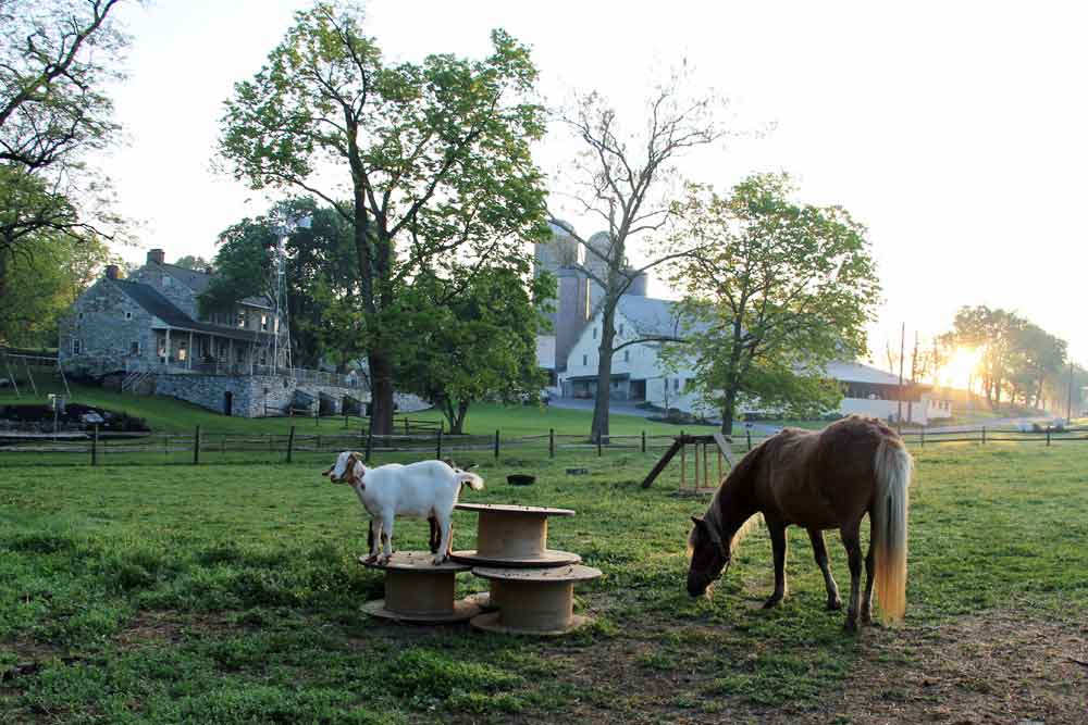 Lancaster PA farm bed and breakfast