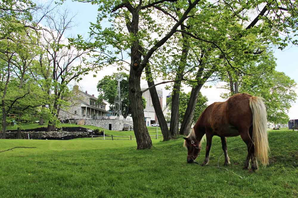 Lancaster County PA farm Bed and Breakfast