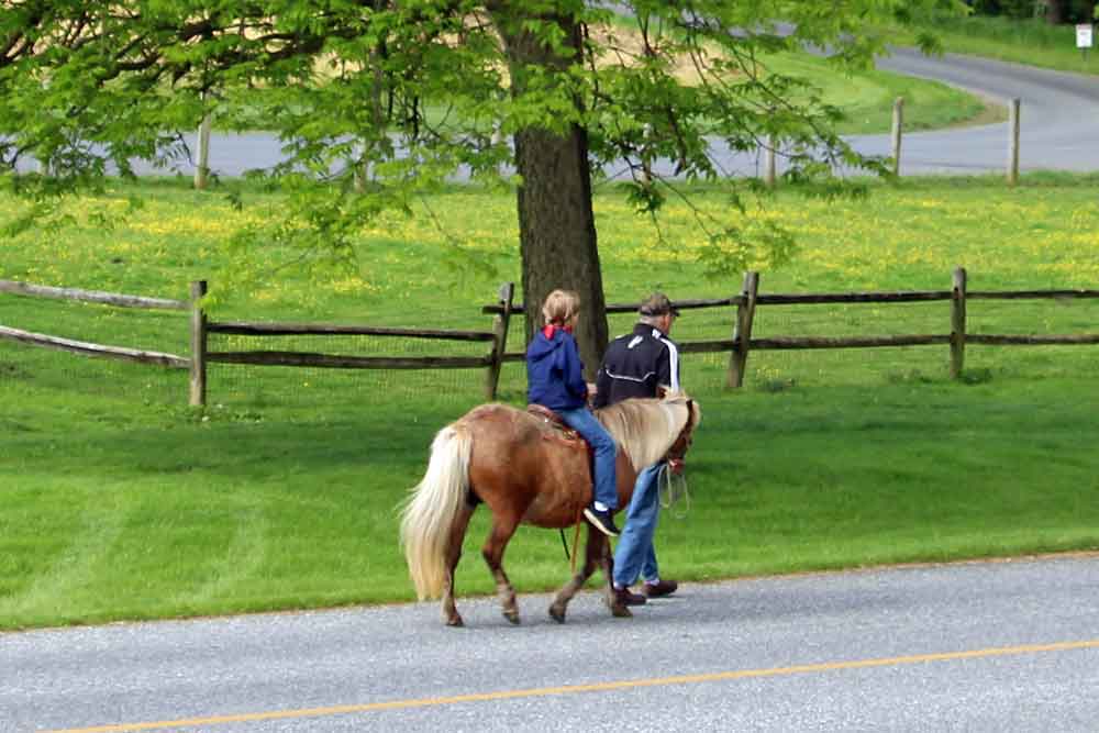 child friendly farm bed and breakfast Lancaster PA