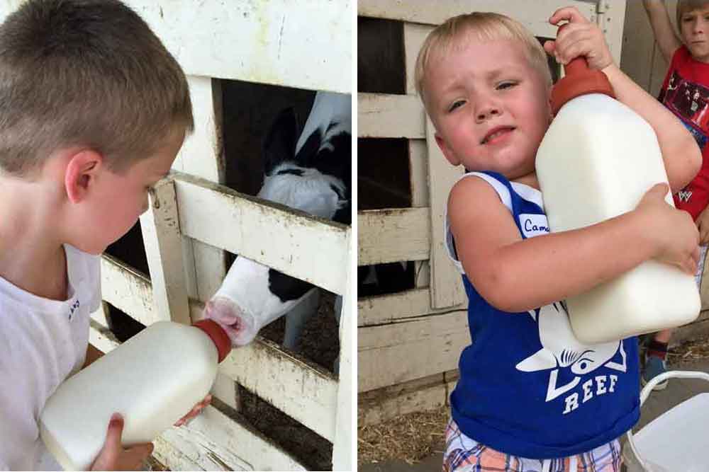 kid friendly farm bed and breakfast in Lancaster County PA