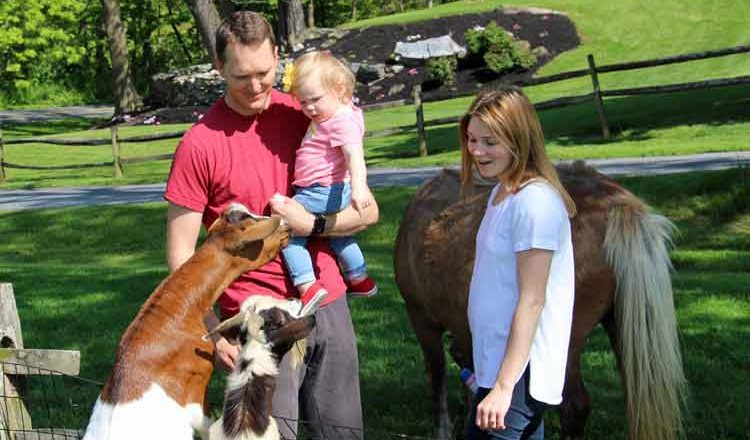 Family Farm vacation