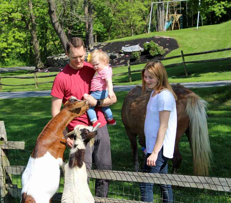 Family Farm vacation